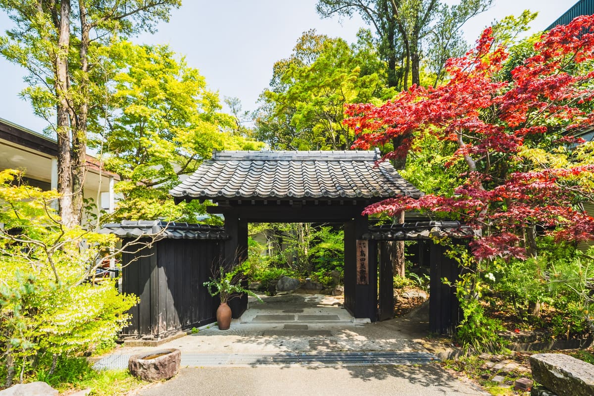 紅葉と新緑に囲まれた瓦屋根の門。石畳のアプローチが奥へ続く